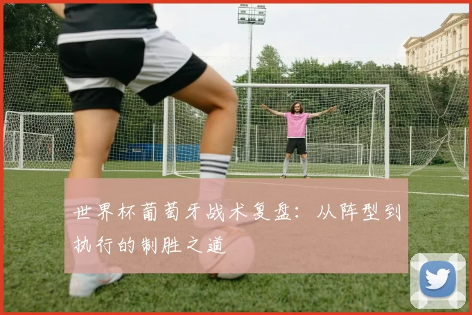 世界杯葡萄牙战术复盘:从阵型到执行的制胜之道
