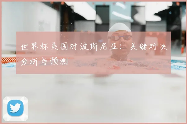 世界杯美国对波斯尼亚：关键对决分析与预测